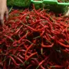 Harga Cabai Rawit Meroket, Picu Inflasi Akhir Tahun?