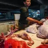 Mafia Pangan Hanya Kena Sanksi Administratif?