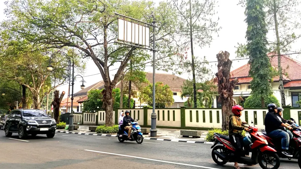 Nampak dua pohon di depan PN Kota Bandung dipangkas habis. (son)