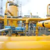 PGN Siap Salurkan Biomethane dari Limbah Sawit ke Industri