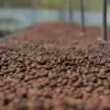 Produk kopi Tonas Coffee asal Lembang mulai menembus pasar luar negeri dan memperluas jangkauan pemasarannya h