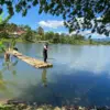 Saguling Kian Surut, Pembudidaya KJA dan Petani Kelimpungan