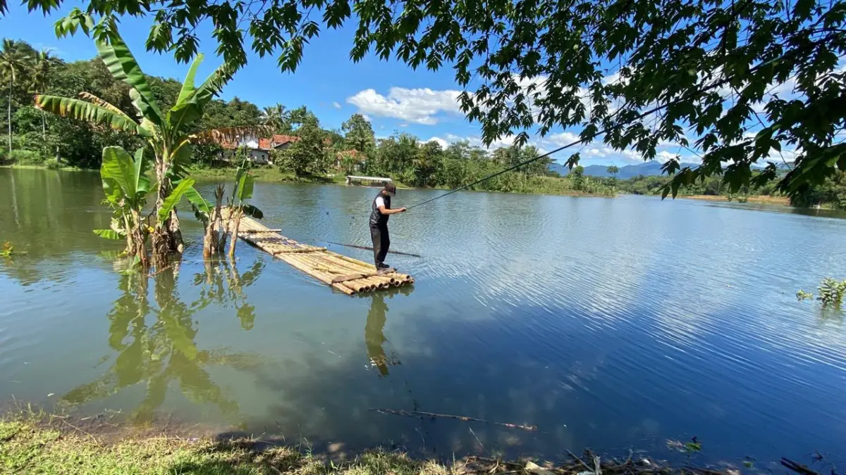 Saguling Kian Surut, Pembudidaya KJA dan Petani Kelimpungan