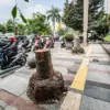 Pengendara sepeda motor melintas di samping pohon yang di tebang di Jalan Asia Afrika, Kota Bandung, Selasa (1