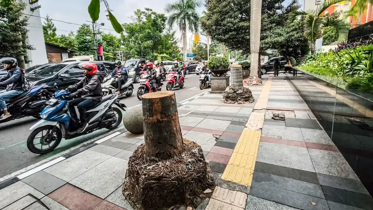 Pengendara sepeda motor melintas di samping pohon yang di tebang di Jalan Asia Afrika, Kota Bandung, Selasa (1