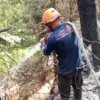 Satu Hektar Lahan di Gunung Tangkuban Parahu Ludes Terbakar