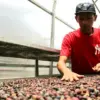 Jabar Genjot Ekspor ke Pakistan, Kembangkan Produk Kopi hingga Kerajinan