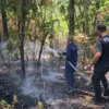 Petugas gabungan tengah berjibaku memadamkan api yang menghanguskan dua hektar lahan di Gunung Tangkuban Parah