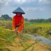 Soroti Perlindungan Hukum Petani Penggarap, DPRD KBB Minta HGU di Wilayah Selatan Dievaluasi