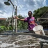Tekan Ketergantungan Waduk, Dispernakan KBB Dorong Pembudidaya Ikan Gunakan Mini RAS