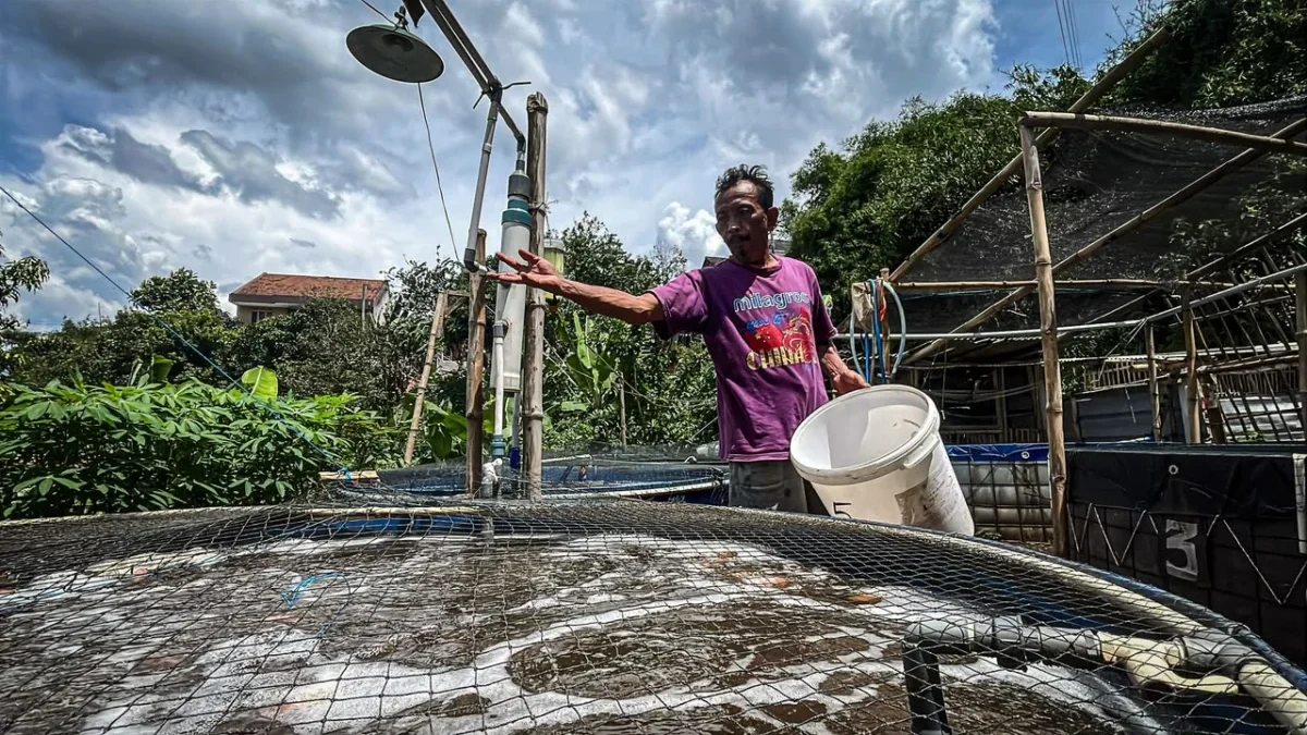 Tekan Ketergantungan Waduk, Dispernakan KBB Dorong Pembudidaya Ikan Gunakan Mini RAS