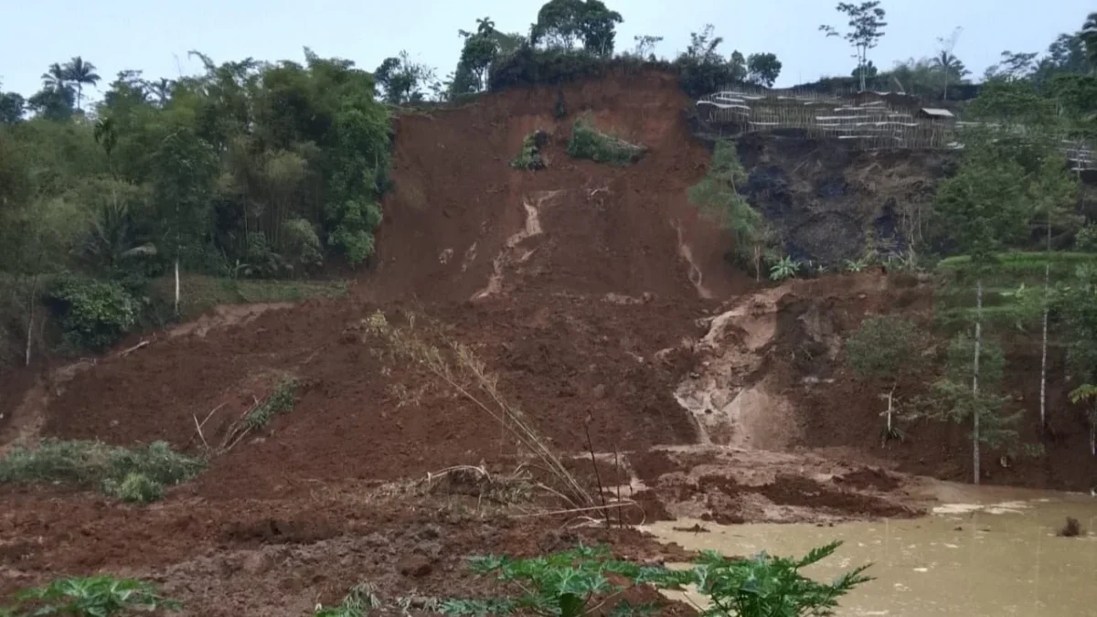 Hujan Guyur Tasikmalaya, Rentetan Bencana Longsor dan Pohon Tumbang Terjadi di Sejumlah Wilayah Hujan guyur Tasikmalaya sebabkan rentetan bencana longsor
