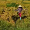 Reforma Agraria Tak Cukup Redistribusi Tanah, Kemitraan Petani dan Dunia Usaha Perlu Diperkuat