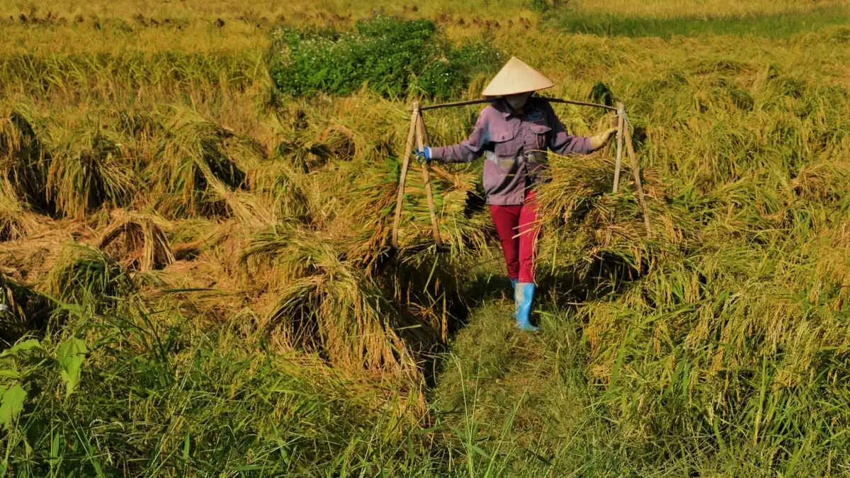 Reforma Agraria Tak Cukup Redistribusi Tanah, Kemitraan Petani dan Dunia Usaha Perlu Diperkuat