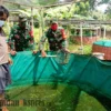 Sukses, Warga Aplikasikan Demplot BIOS 44 DC untuk Budidaya Lele