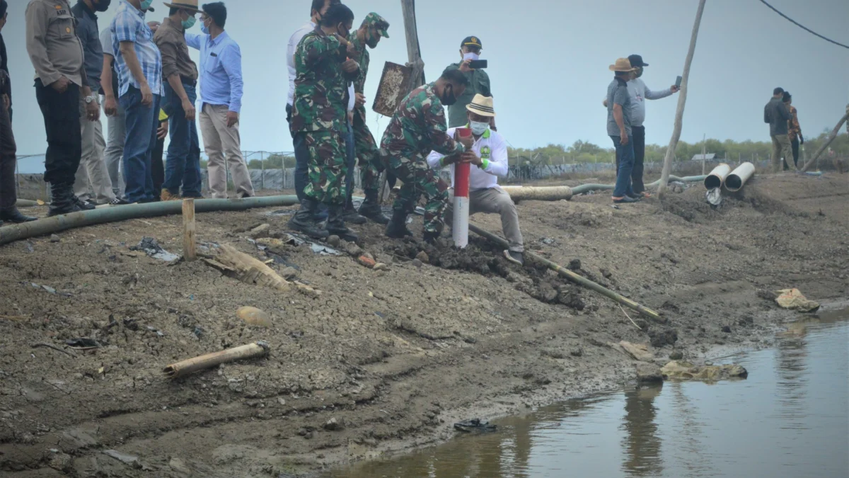 Jalan Patimban-Cilamaya Ditargetkan Rampung Dua Tahun Jalan Patimban-Cilamaya Ditargetkan Rampung Dua Tahun