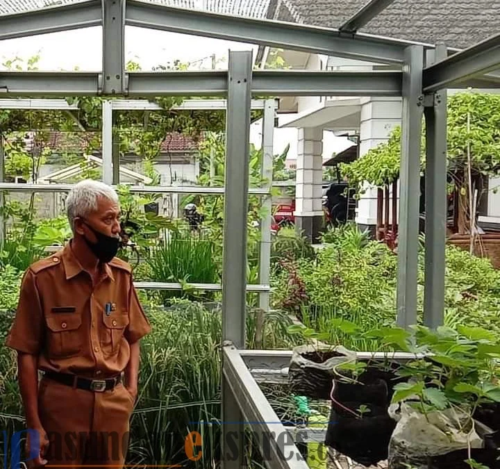 Dinas Pangan Kabupaten Karawang Manfatkan Lahan Kosong Di belakan Kantor untuk Uji Coba Tanaman
