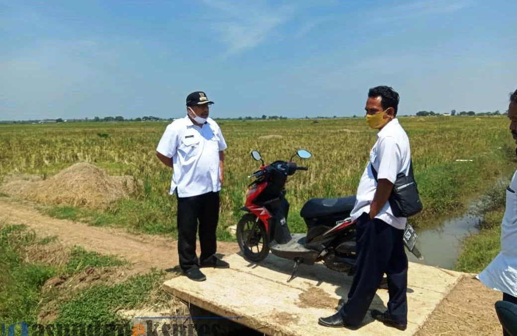 Realisasi PKT, Pemdes Cigugur Akan Perbaiki Saluran Pertanian Realisasi PKT, Pemdes Cigugur Akan Perbaiki Saluran Pertanian