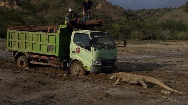 KOMODOKu Sasaran Kantung Kapitalis