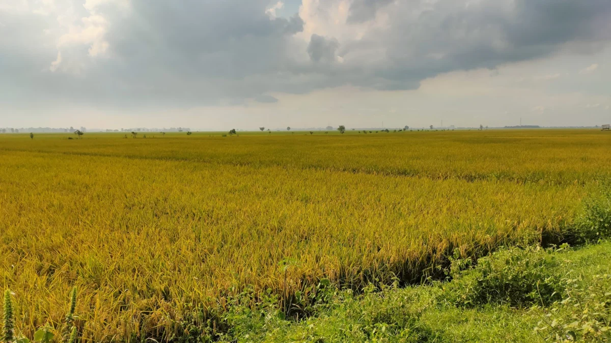 GTRA Mulai Garap 800 Bidang Tanah Tora di 2021 GTRA Mulai Garap 800 Bidang Tanah Tora di 2021