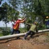 Hari Ini Akan Dilakukan Pemadaman Listrik, Berikut Wilayahnya