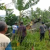 Rumah Tertimpa Pohon Kedongdong di Kasomalang, Begini Kondisinnya,