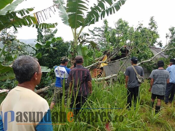 Rumah Tertimpa Pohon Kedongdong di Kasomalang, Begini Kondisinnya, Rumah Tertimpa Pohon Kedongdong di Kasomalang, Begini Kondisinnya,