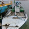 Soal Perahu Bantuan, Ini kata KSOP Kelas II Patimban