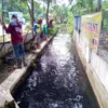 Padat Karya Desa Bojongtengah Bersihkan Saluran Pembuangan Air Limbah