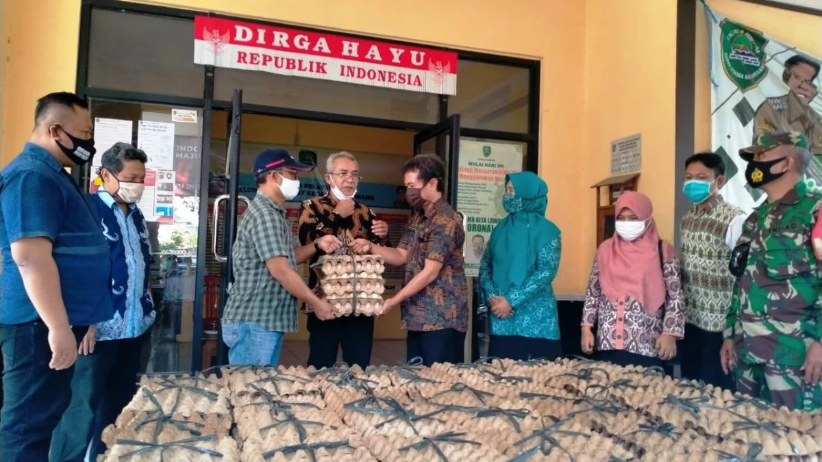 Bantu Gizi Masyarakat di Tengah Pandemi, Perusahaan Ayam Diminta Bagikan Telur