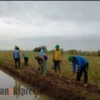 Sambut Tanam, Pemdes Normalisasi Saluran