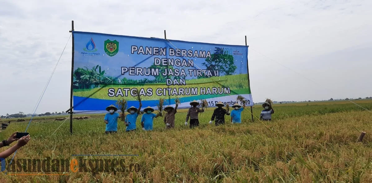 PJT II Panen Raya Bersama dengan Satgas Citarum Harum