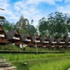 wisata dusun bambu