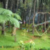 Dorong Masyarakat Terlibat Kembangkan Ekonomi Pariwisata
