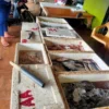 Libur Tahun Baru, Penjualan Ikan Meningkat