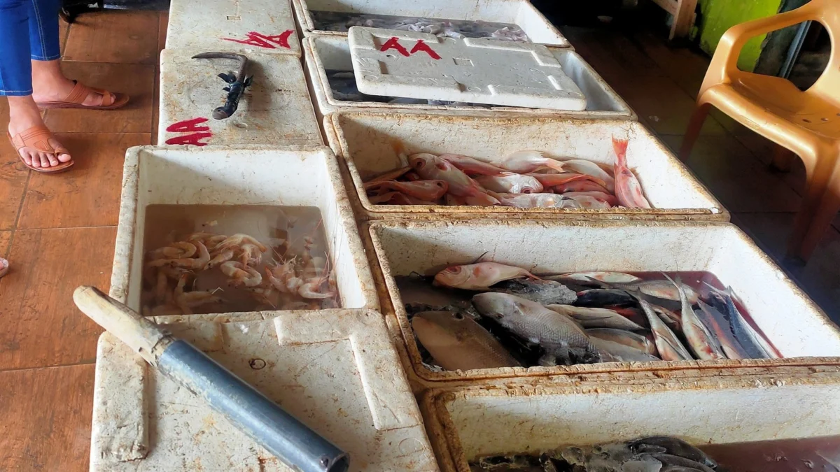 Libur Tahun Baru, Penjualan Ikan Meningkat