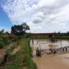 Akibat Ini, Ratusan Hektare Kolam Ikan di Pagaden Gagal Panen