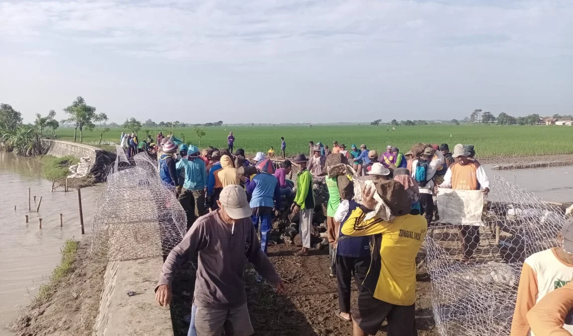 Warga Bongas Mulai Gotong Royong Perbaiki Tanggul Jebol