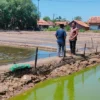 Bantuan Benih Ikan dan Udang bagi Korban Banjir