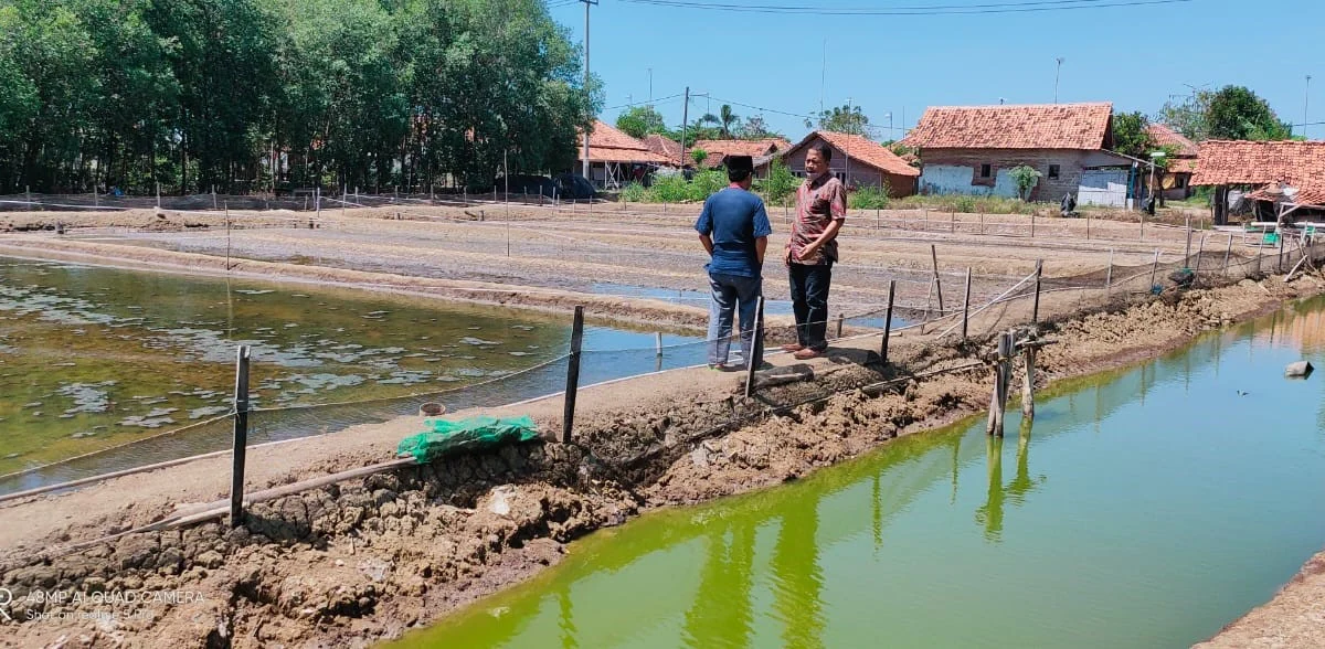 Bantuan Benih Ikan dan Udang bagi Korban Banjir