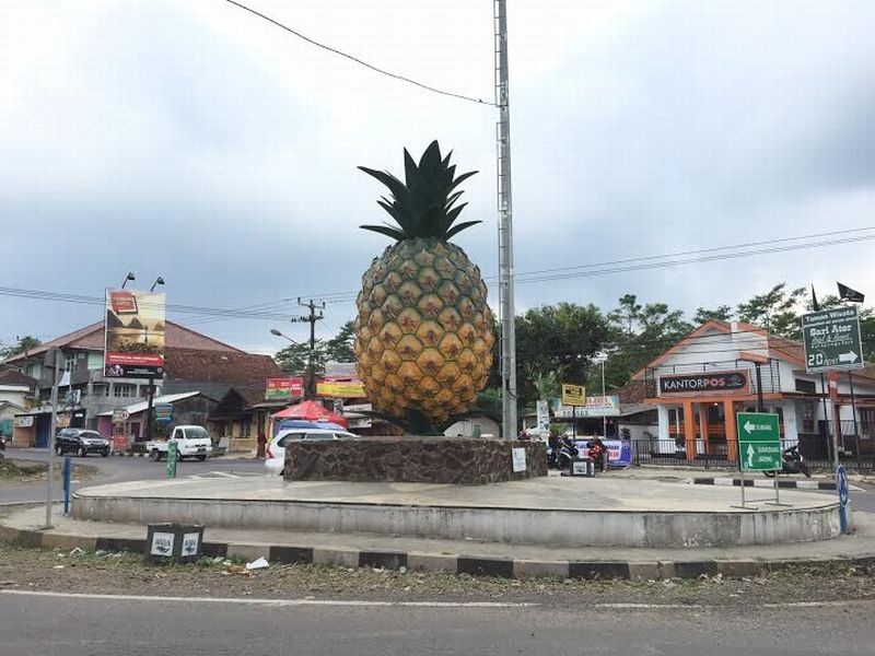 Oleh-oleh Khas Subang yang Wajib Beli