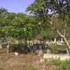 Lahan PEMAKAMAN di subang