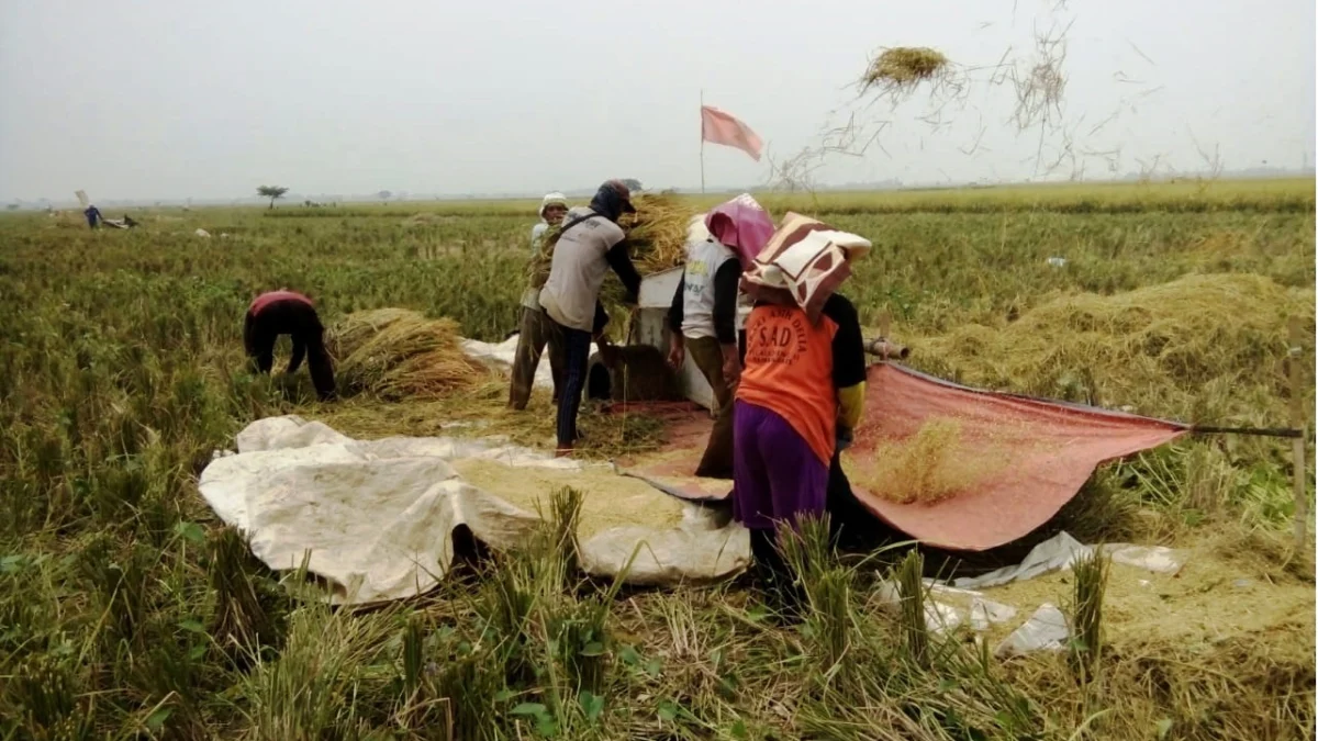 Kecamatan Pamanukan