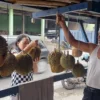 Harga Durian di Subang