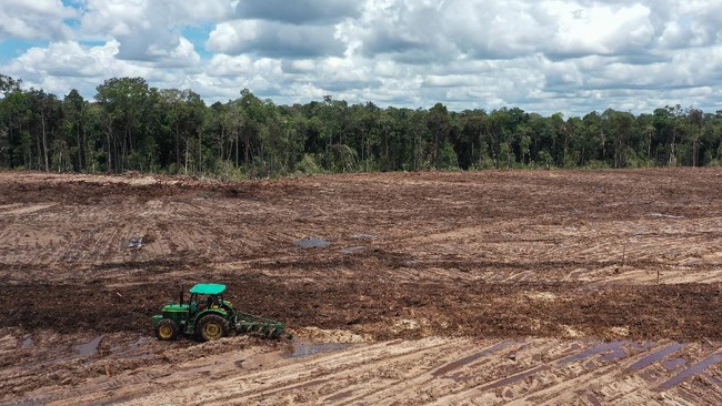 Food Estate dan Kemandirian Bangsa, Bagaimana Mengaturnya?