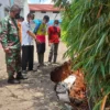 Perumahan Griya Parahiyangan Residance