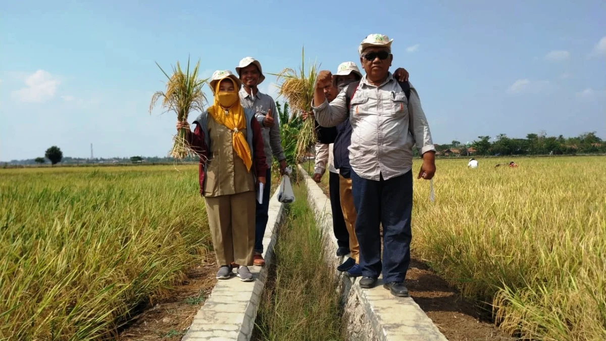 UPTD Pertanian Pusakajaya