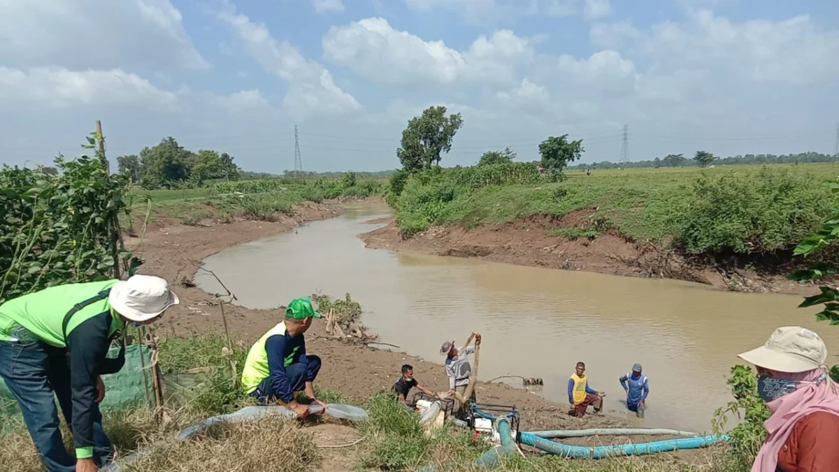 Sipon BT 51 Tarum Timur Amblas Pasokan Air Berkurang Petani Sedot Air Dari Cipicung