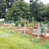lahan pemakaman umum di Subang