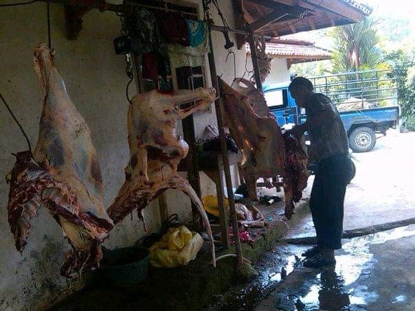 Harga Daging di Subang Sapi Tembus Rp130 Ribu